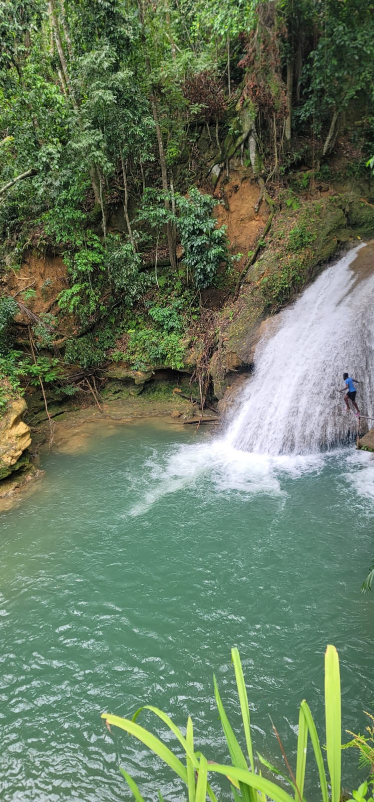 blue hole ocho rios jamaica tour.jpg