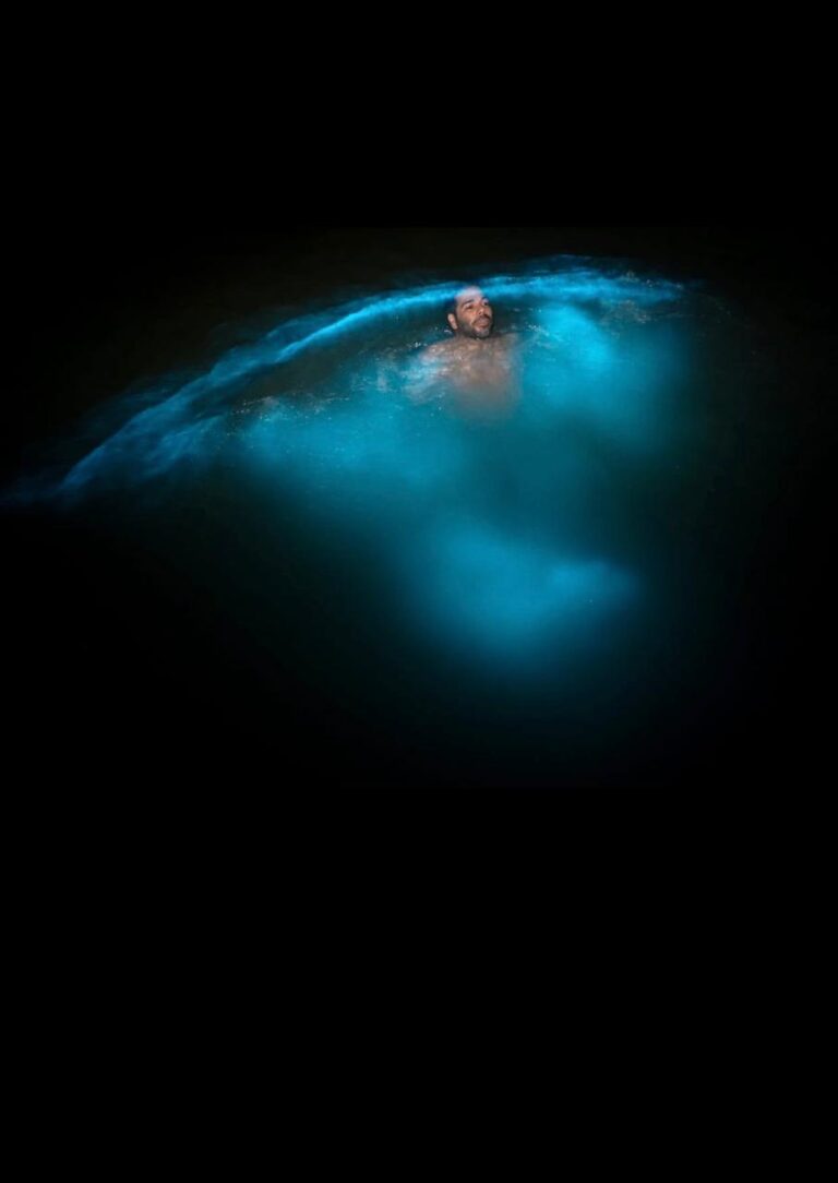 Guest experiencing the glowing waters of Luminous Lagoon at night