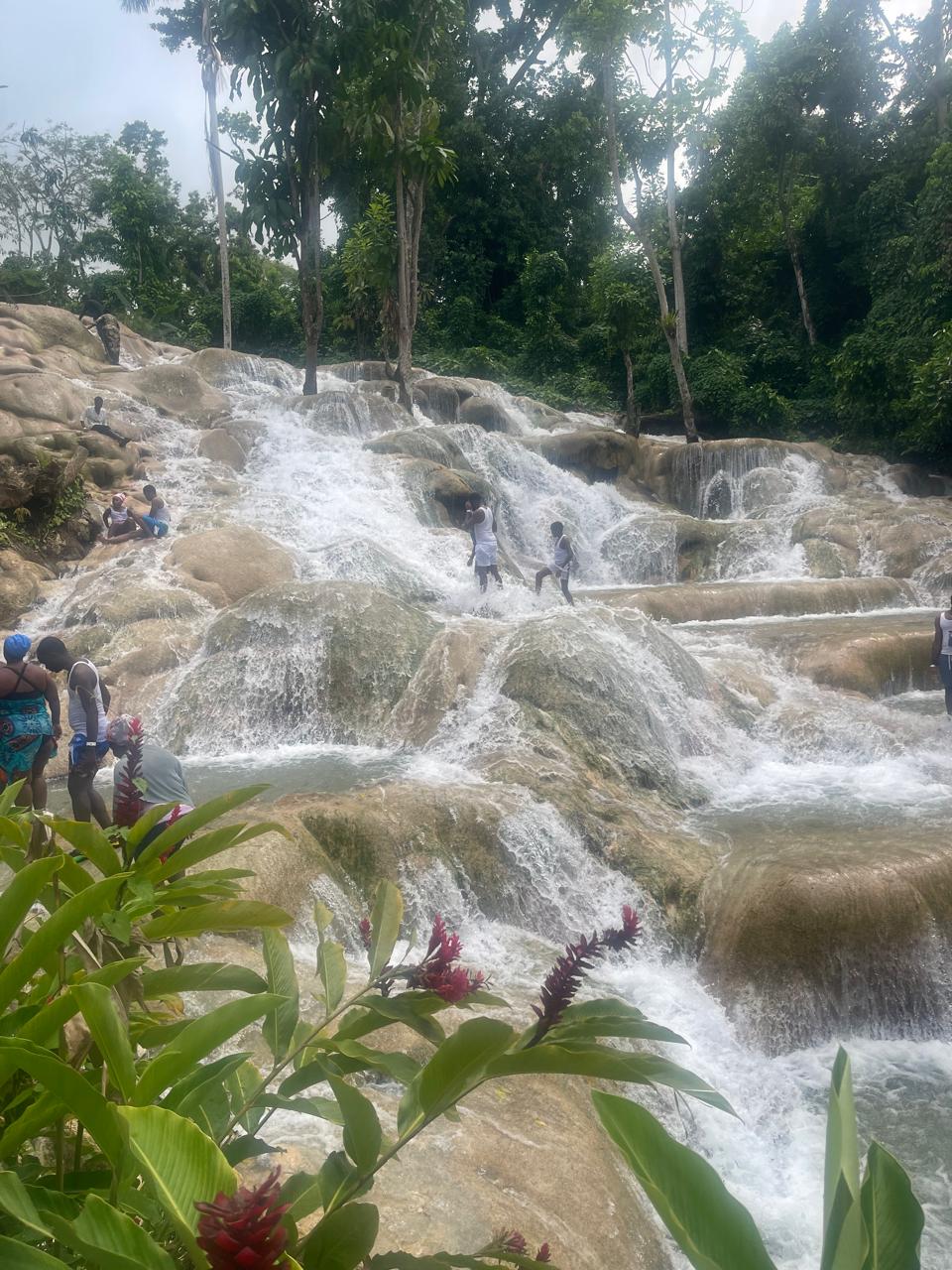 Dunn's River Falls private tour in Jamaica