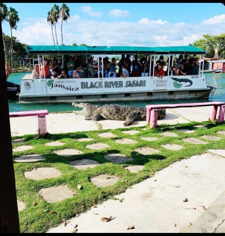 black river safari south coast jamaica.jpg